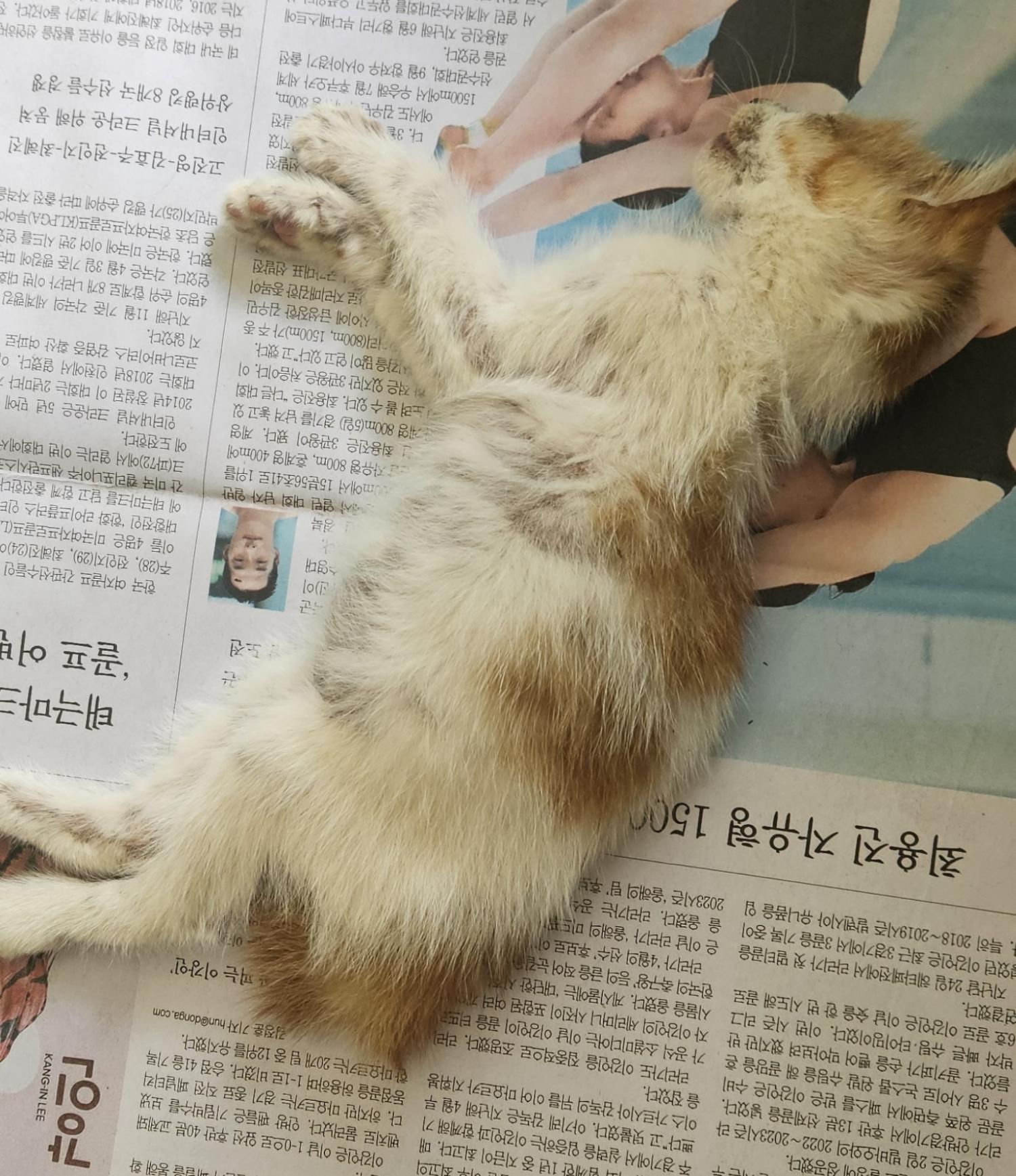 종료(자연사) 한국…